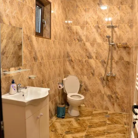 неси Holiday home